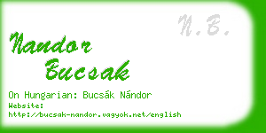 nandor bucsak business card